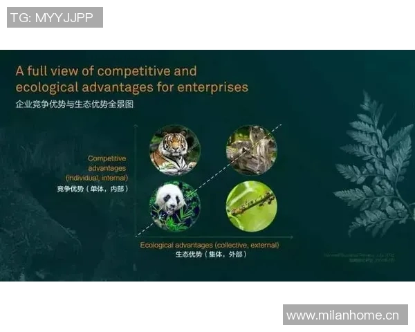 拜仁王者光环渐褪状态起伏未来转型与重建之路何处寻 拜仁王者光环渐褪状态起伏未来转型与重建之路何处寻