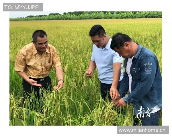 退役球星转型现状调查与职业发展路径研究分析 退役球星转型现状调查与职业发展路径研究分析